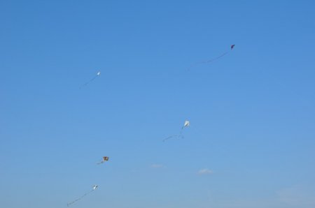 image 25Sep2011  176.JPG
