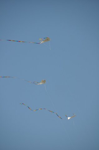 image 25Sep2011  287.JPG