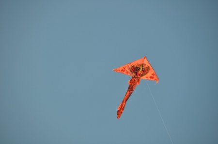 image 25Sep2011  348.JPG