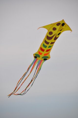 image 29Sep2013  048.JPG