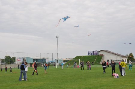 image 29Sep2013  092.JPG