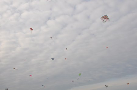 image 29Sep2013  105.JPG