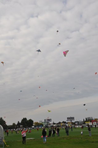 image 29Sep2013  107.JPG