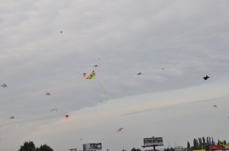 image 29Sep2013  109.JPG