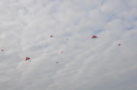 image 29Sep2013  110.JPG