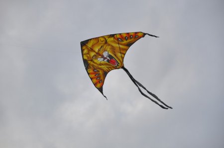 image 29Sep2013  155.JPG