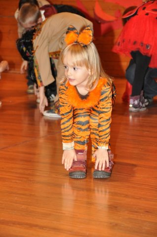 image 19Jan2013  595.JPG