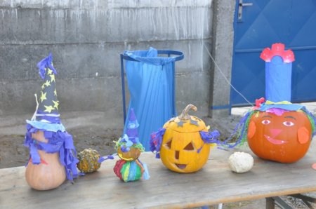image 05Nov2011  007.JPG