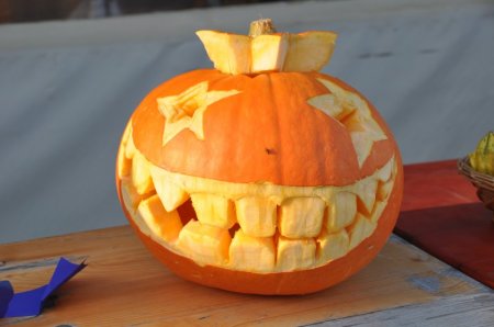 image 05Nov2011  017.JPG