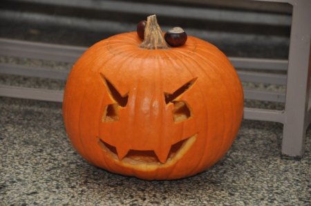 image 27Oct2012  1176.JPG