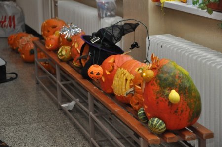 image 27Oct2012  1184.JPG
