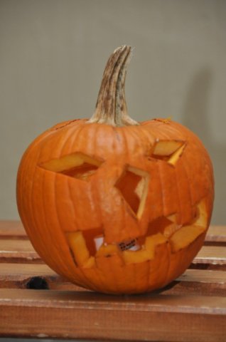 image 27Oct2012  1194.JPG