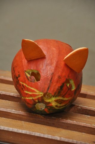 image 27Oct2012  1197.JPG