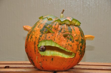 image 27Oct2012  1206.JPG