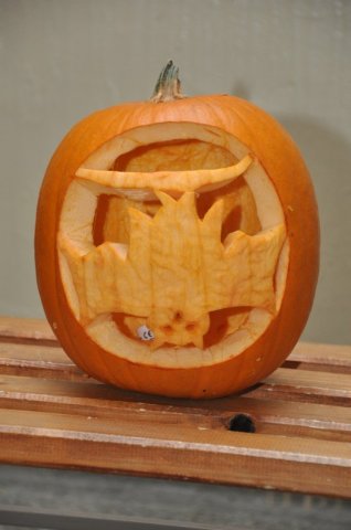 image 27Oct2012  1209.JPG