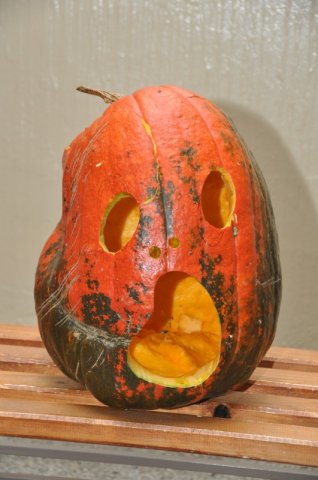 image 27Oct2012  1212.JPG