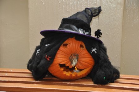 image 27Oct2012  1216.JPG