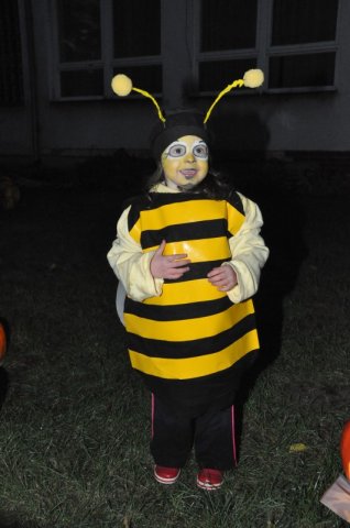image 27Oct2012  1354.JPG