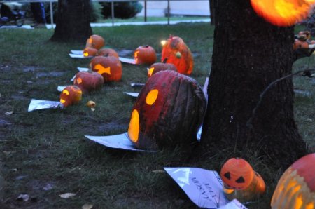 image 27Oct2012  1359.JPG