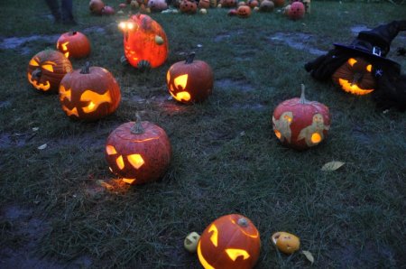 image 27Oct2012  1371.JPG