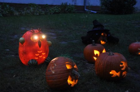 image 27Oct2012  1373.JPG