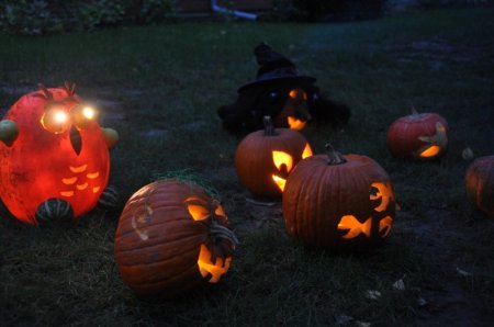 image 27Oct2012  1376.JPG