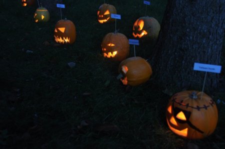 image 26Oct2013  123.JPG