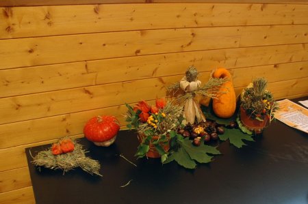 image 10Oct2009  036.JPG